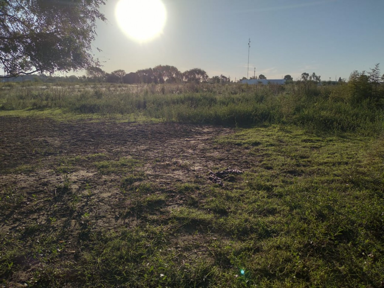 LOTE