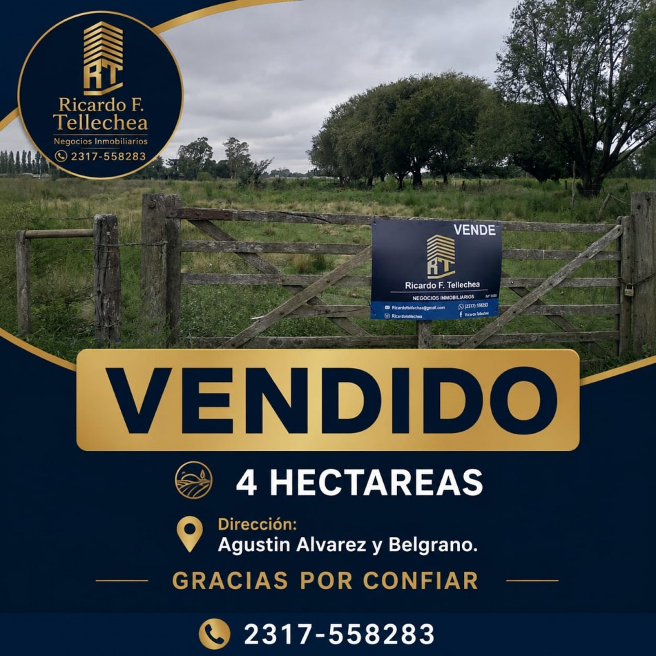 LOTE