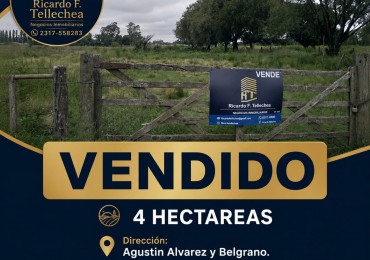 LOTE