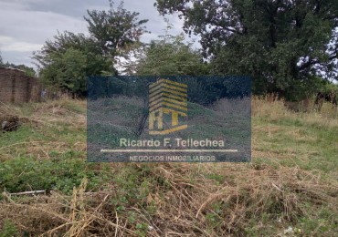 LOTE